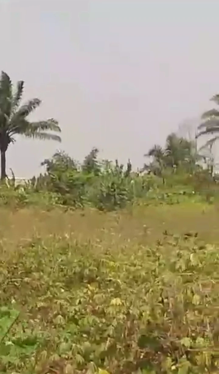 Land for Sale in Iguosa, Edo cover picture