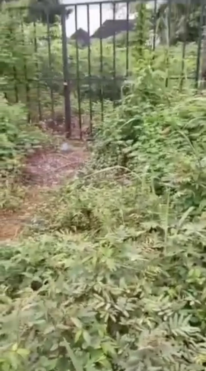 Land for Sale in Along youth house amagba, Edo cover picture