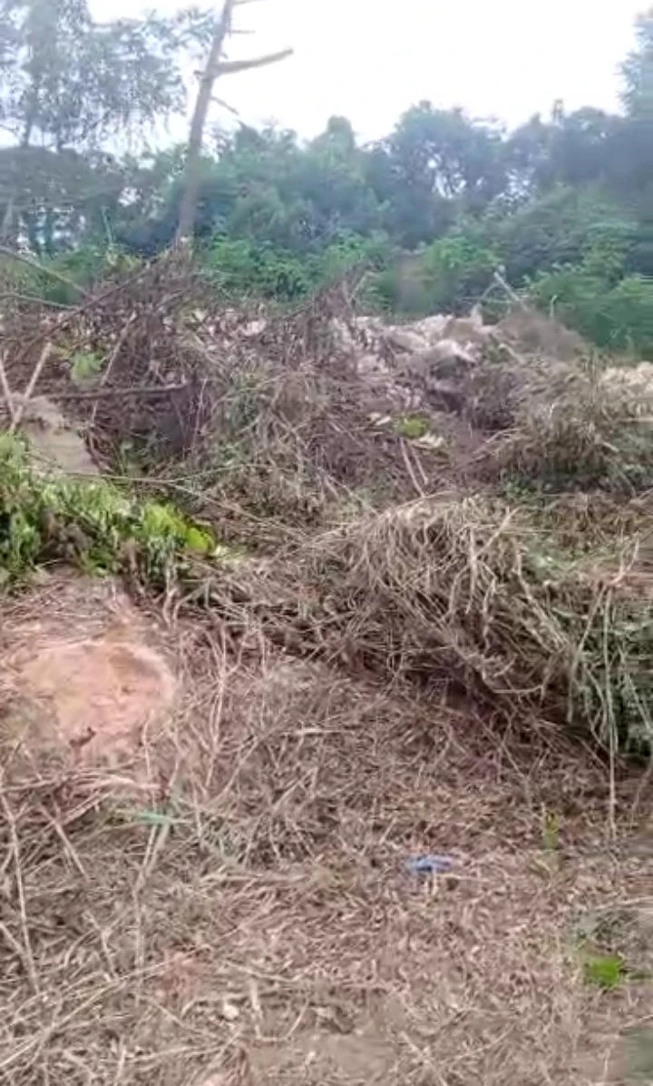 Land for Sale in 50ft by 100ft bareland at ogheghe community thru presidential road available for sale 5m asking price 4.8m net... documents Deed/ Court judgement., Edo cover picture