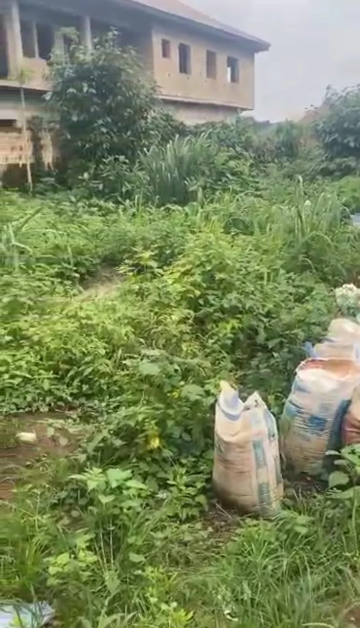 Land for Sale in Amagba community, Edo cover picture