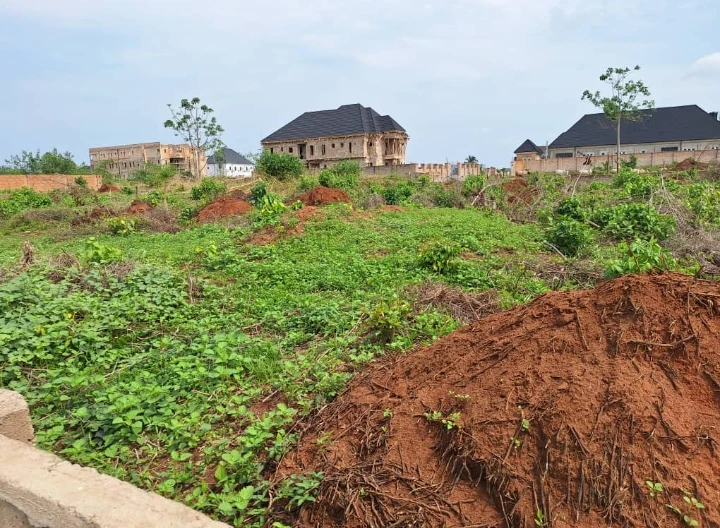 Land for Sale in Amagba community, Edo cover picture