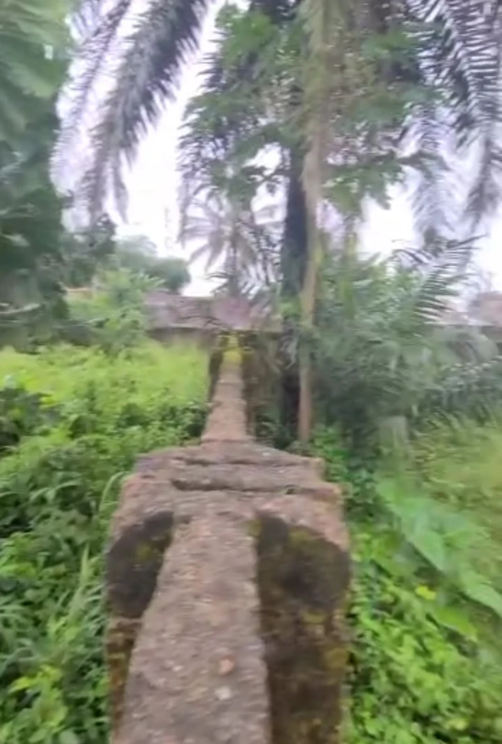 Land for Sale in Okhoromi community, Edo cover picture