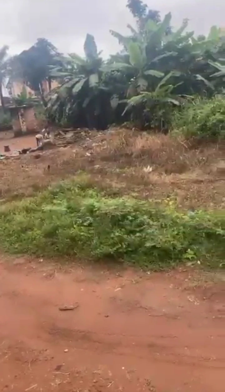 Land for Sale in Back of winners, Edo cover picture