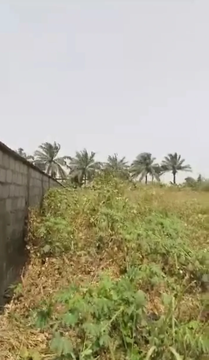 Land for Sale in Iguosa community share fence with 7up company, along Benin Lagos road, Edo cover picture