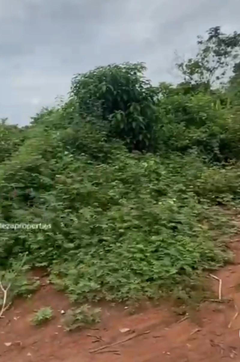 Land for Sale in Pinnacle smart Estate, Delta cover picture