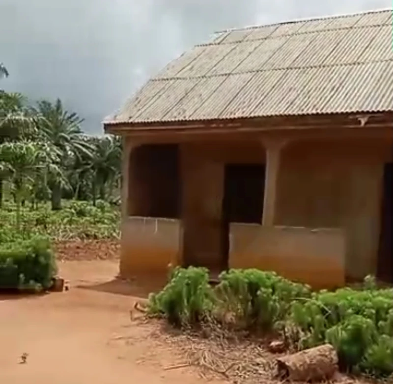 Land for Sale in Adodo Ota LGA, along Adodo Road, Olaparun, Opp Olaparun Primary School,10 mins drive to the garage (Bus stop), Ogun - Image 3