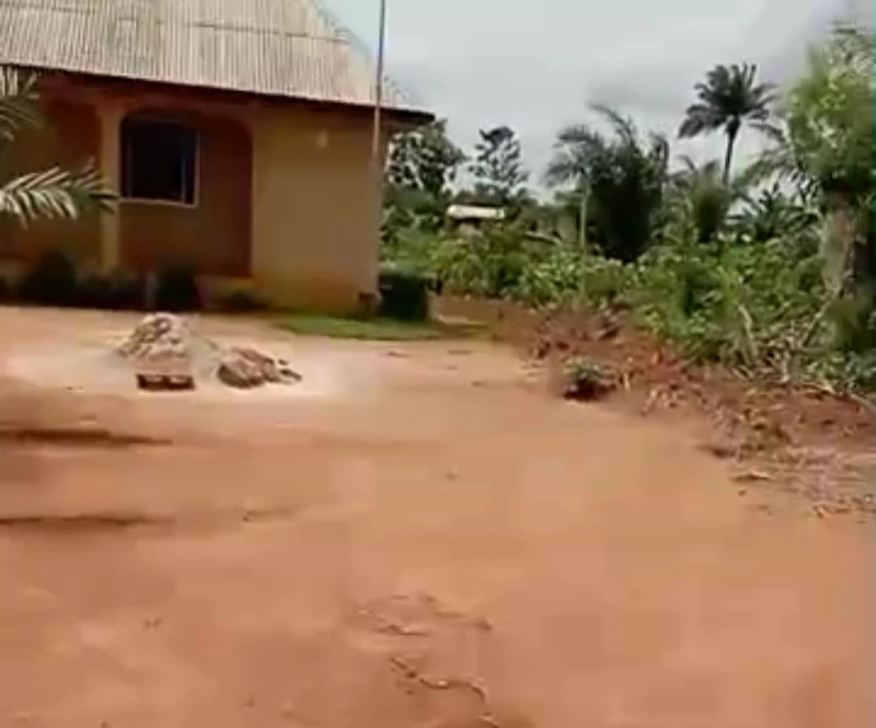 Land for Sale in Adodo Ota LGA, along Adodo Road, Olaparun, Opp Olaparun Primary School,10 mins drive to the garage (Bus stop), Ogun cover picture
