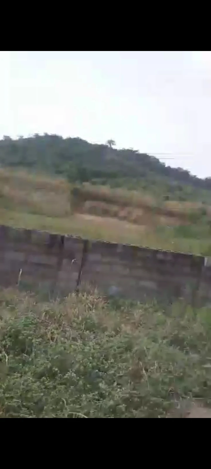 Land for Sale in directly behind "Osoba" at Magbon in Abeokuta., Ogun - Image 2