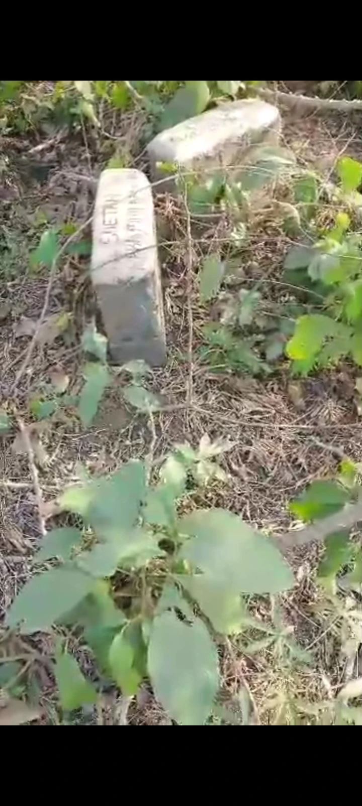 Land for Sale in Lagos- Abeokuta - Ibadan- Sagamu Interchange., Ogun cover picture