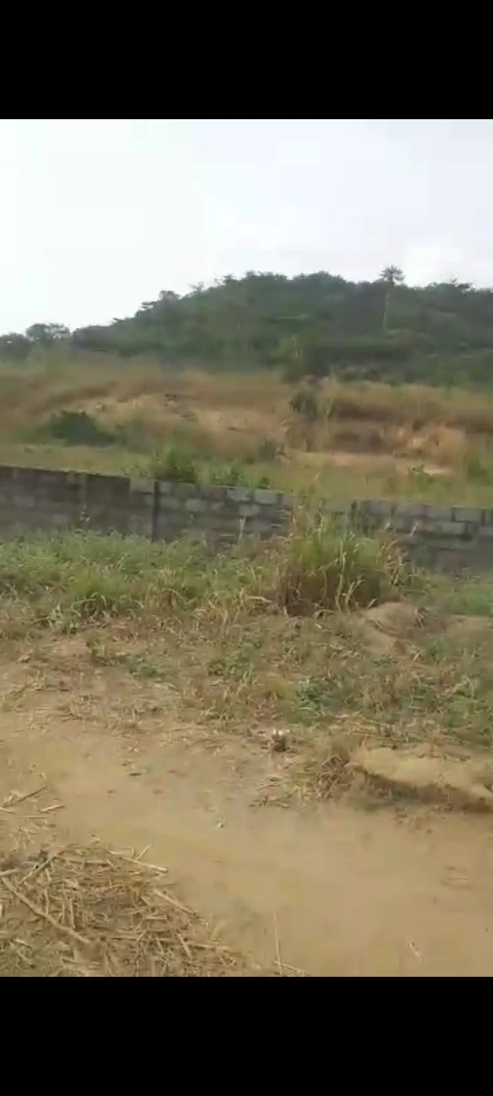 Land for Sale in directly behind "Osoba" at Magbon in Abeokuta., Ogun cover picture