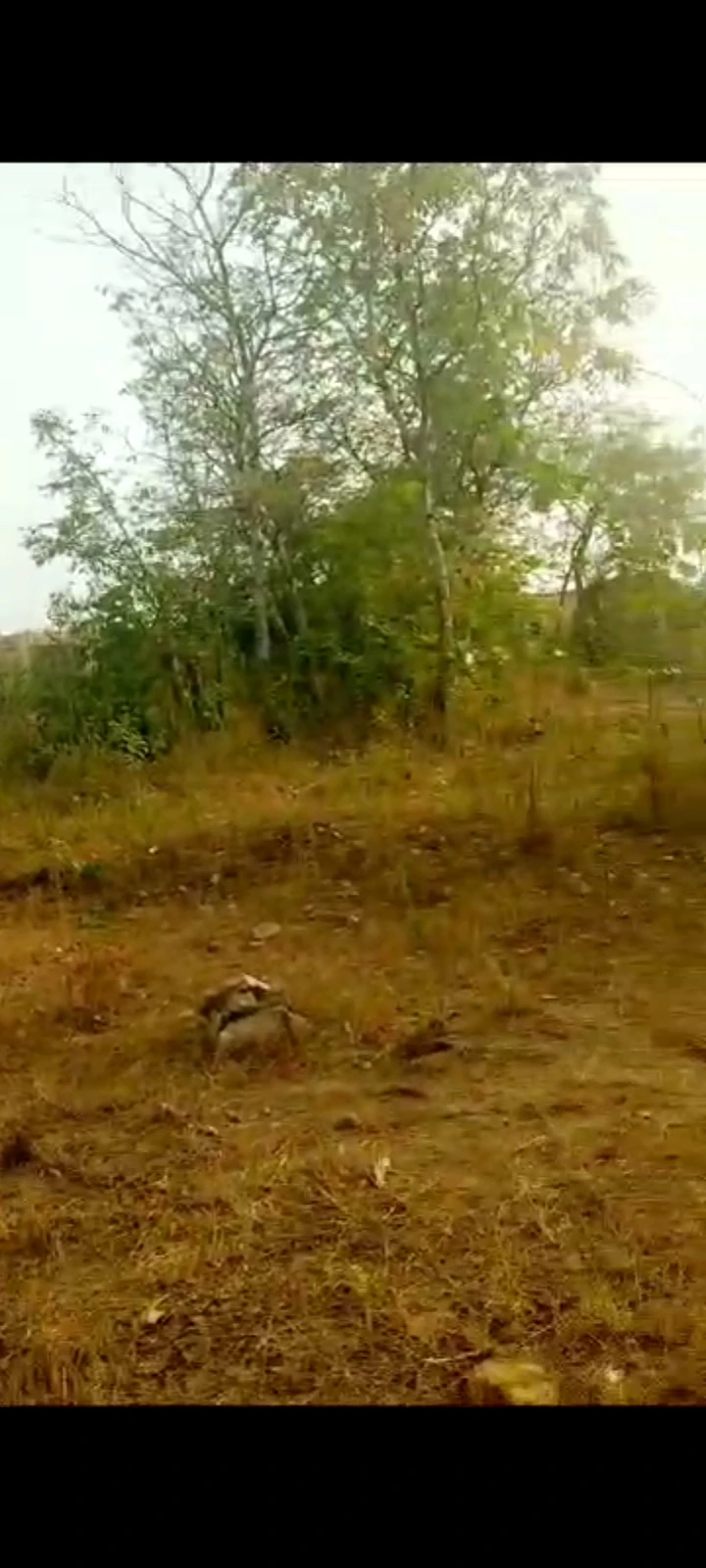 Land for Sale in aiyeloja eleja obada in Abeokuta, Ogun cover picture