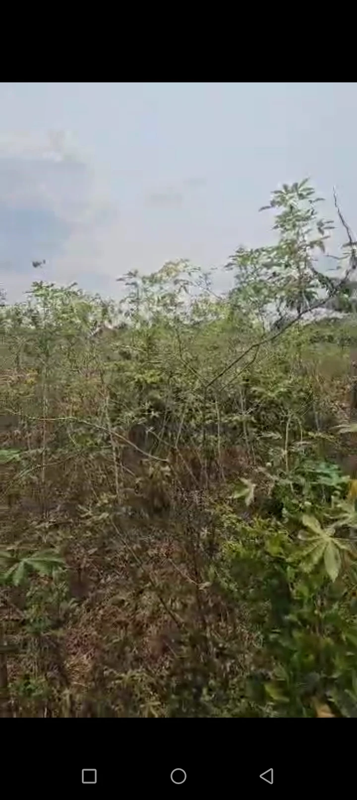 Land for Sale in Igboetche Eneka round About, Rivers - Image 1