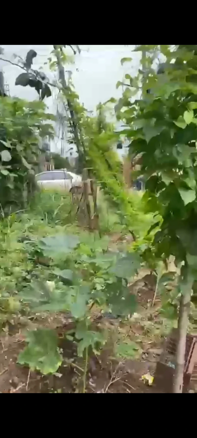 Land for Sale in Asaba, Delta - Image 2