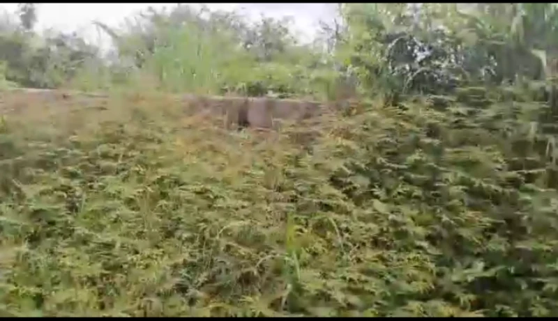Land for Sale in Asaba, Delta - Image 1