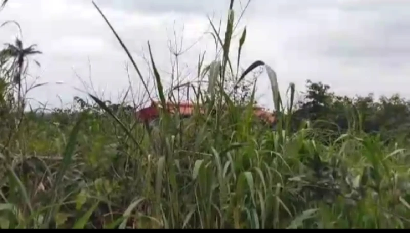 Land for Sale in Asaba, Delta - Image 2