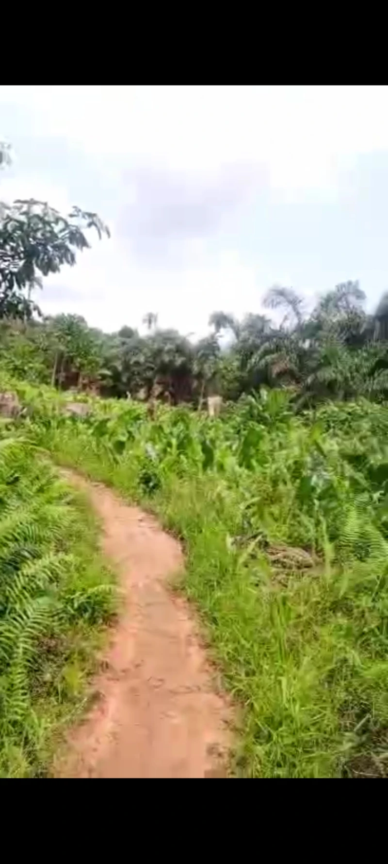 Land for Sale in Asaba, Delta - Image 1