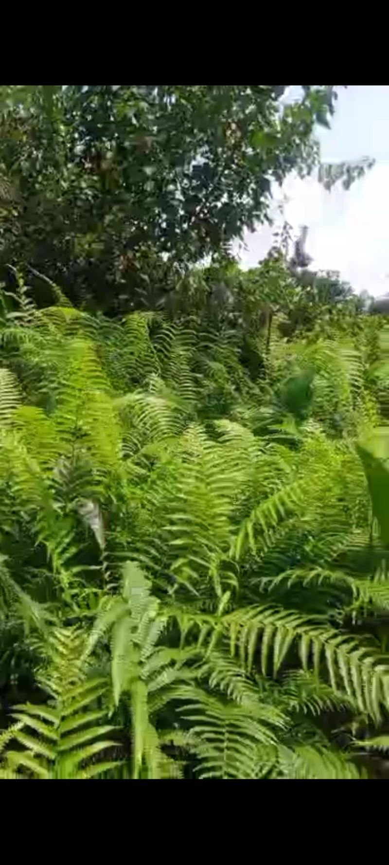 Land for Sale in Asaba, Delta - Image 2