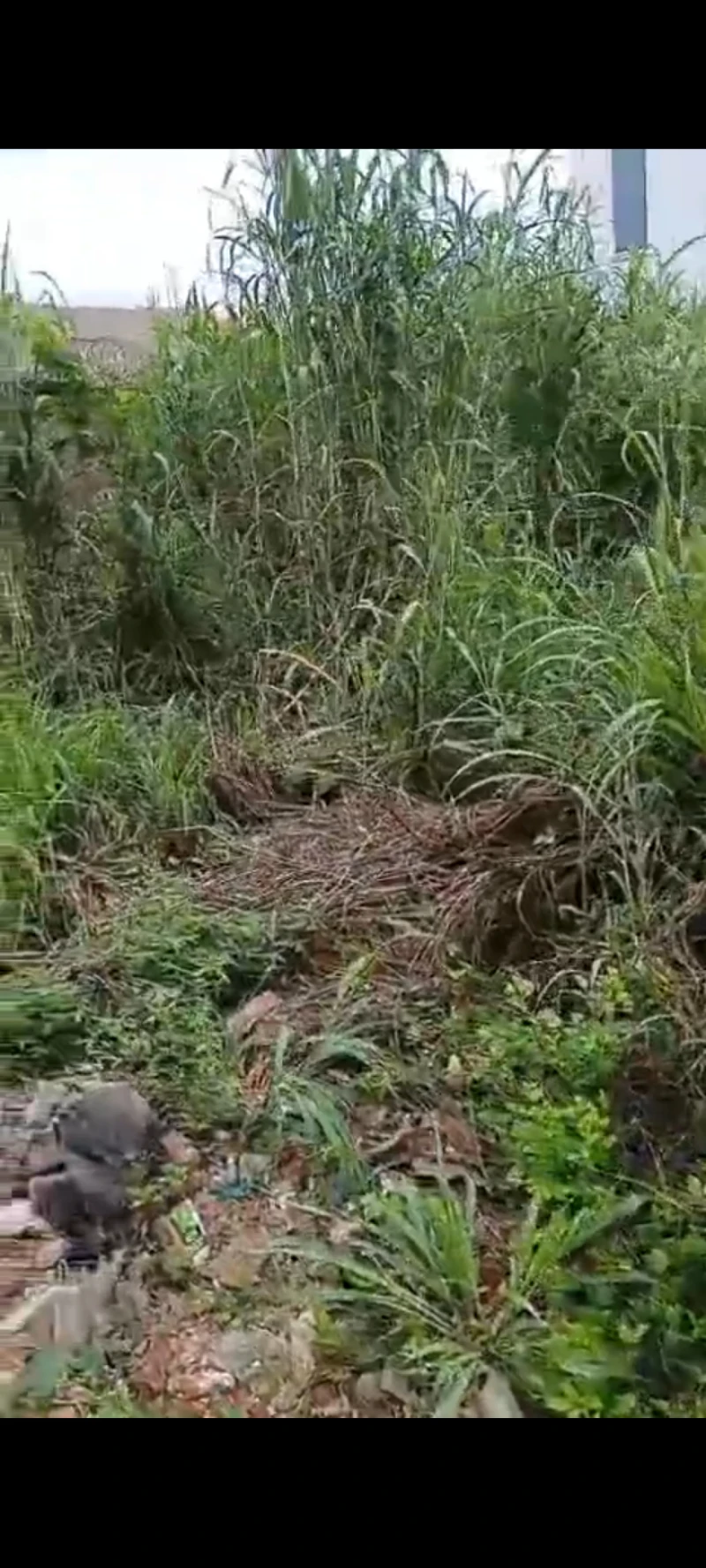 Land for Sale in Asaba, Delta - Image 1