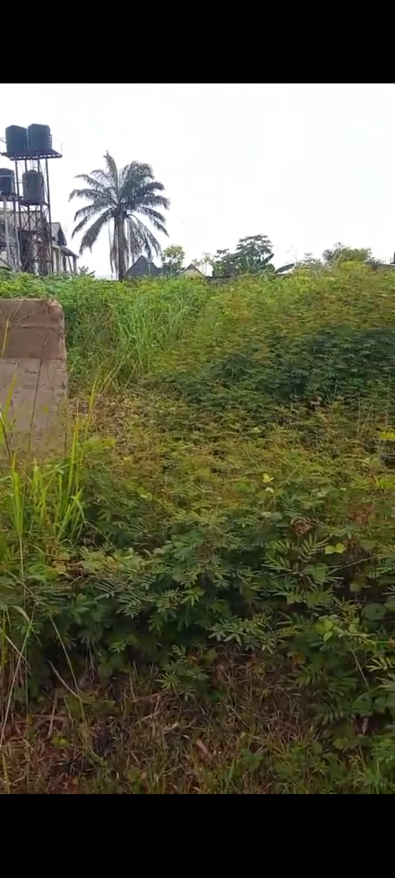 Land for Sale in Okpanam, Delta - Image 1
