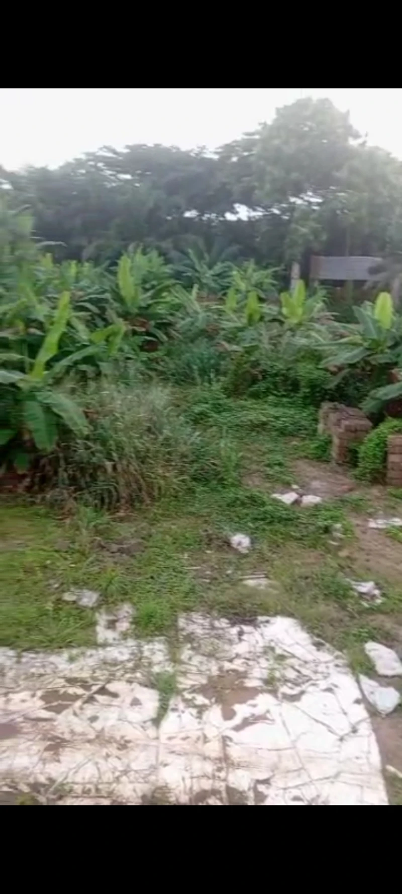 Land for Sale in Asaba, Delta - Image 1