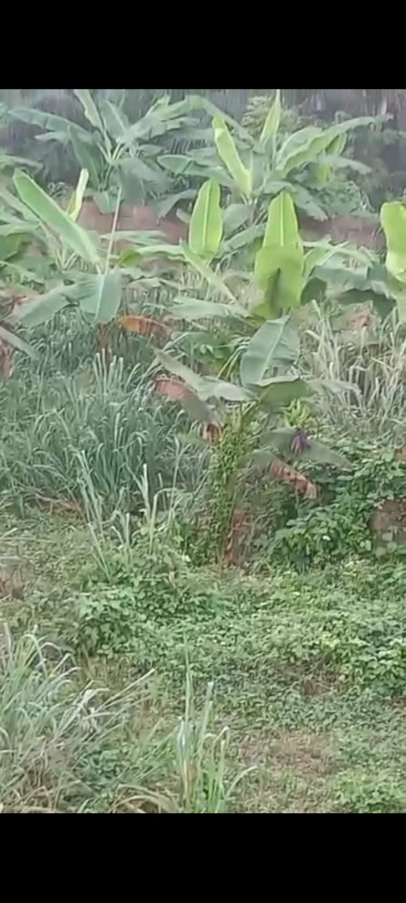Land for Sale in Asaba, Delta - Image 2