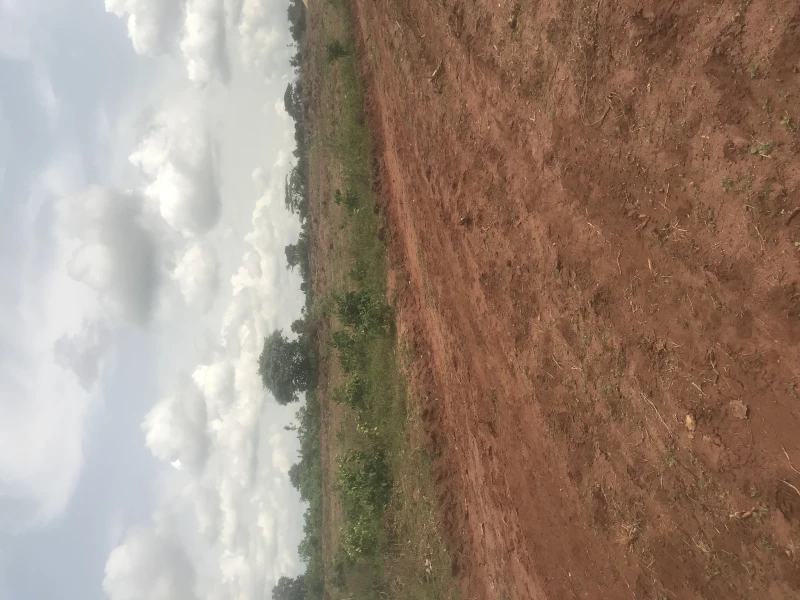Land for Sale in Close to Koka Flyover off Ibusa Express Road, Delta - Image 1