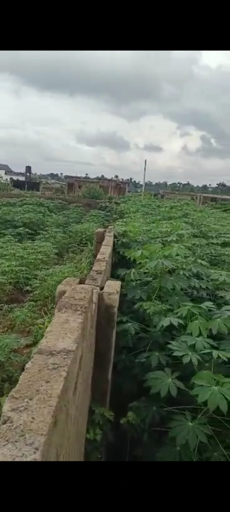 Land for Sale in Asaba, Delta - Image 1