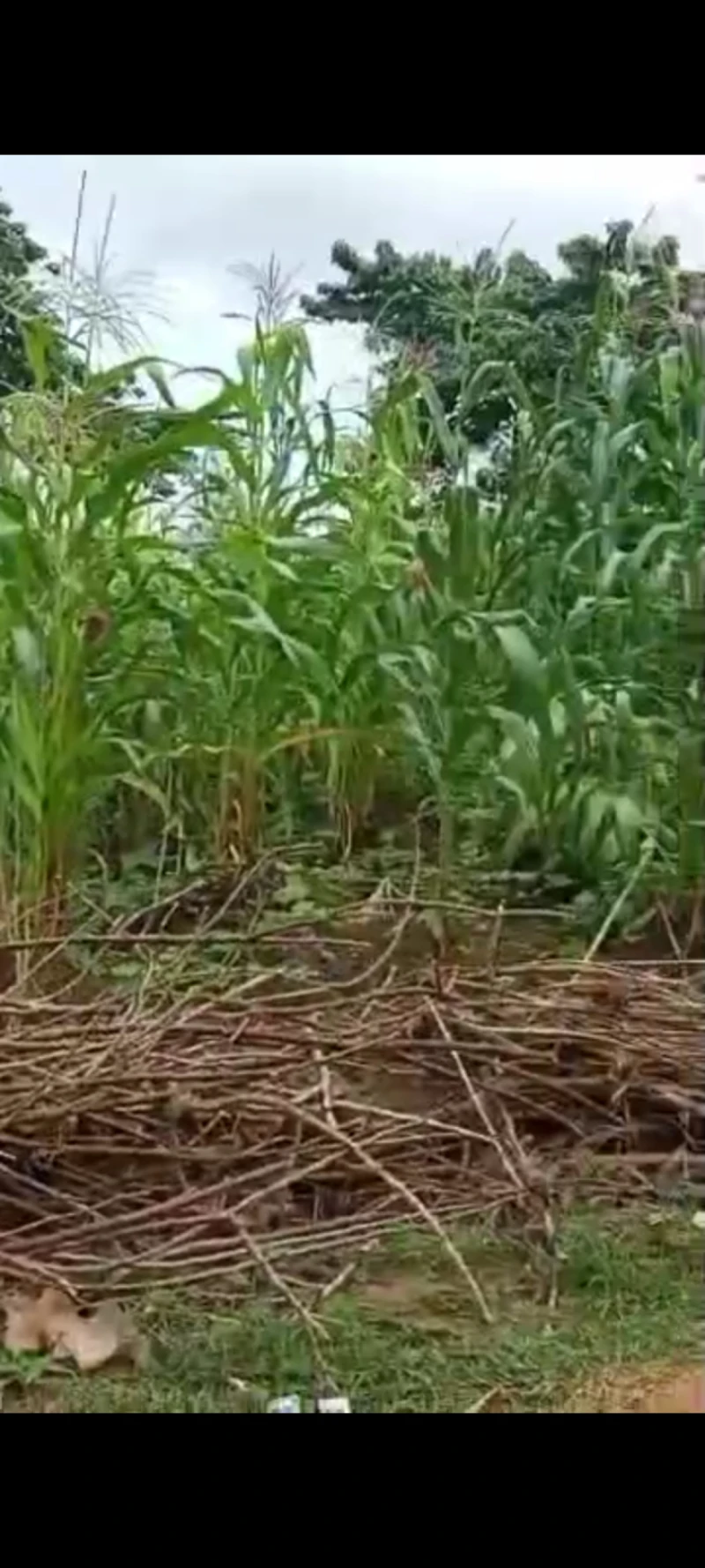 Land for Sale in Asaba, Delta - Image 1
