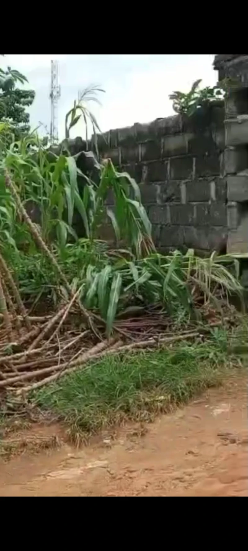 Land for Sale in Asaba, Delta - Image 2