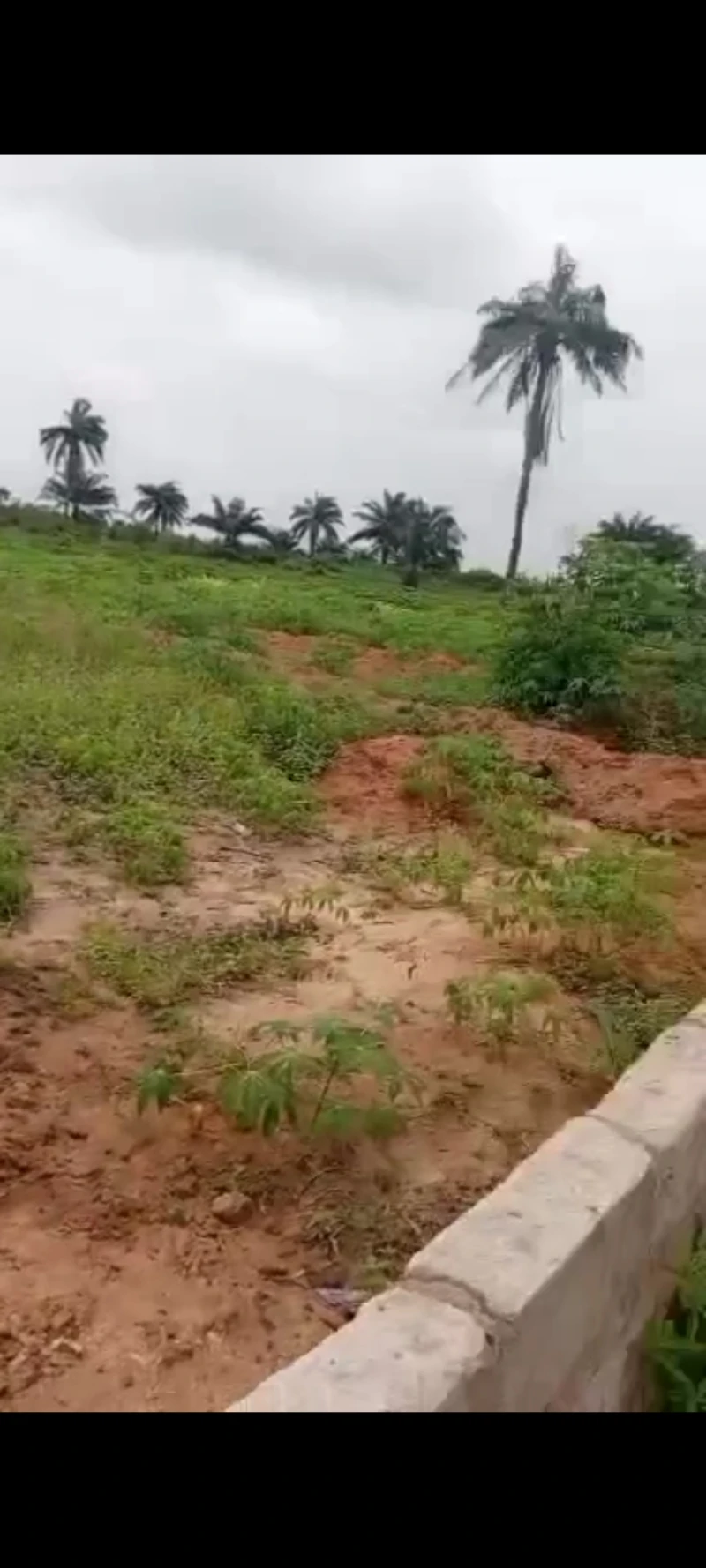 Land for Sale in Asaba, Delta - Image 1