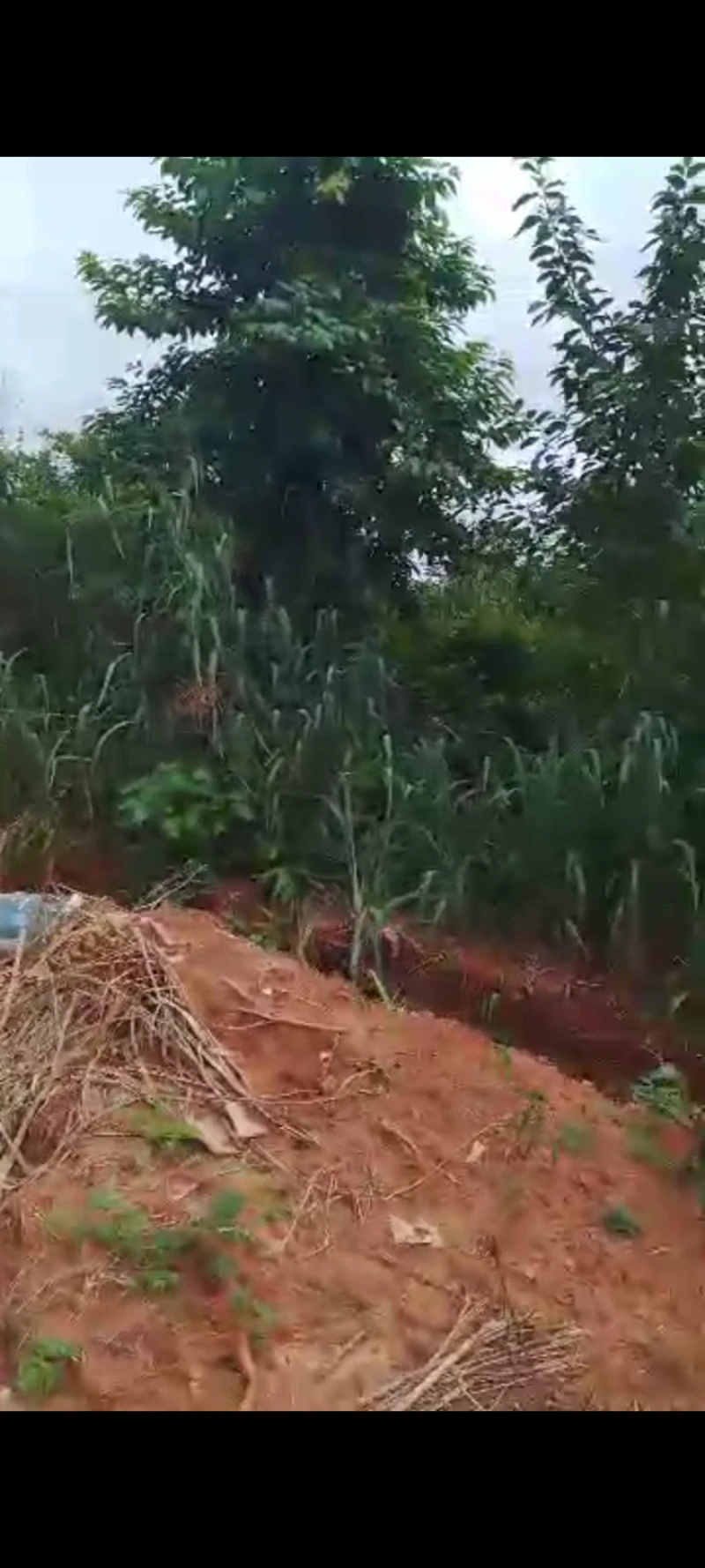 Land for Sale in Asaba, Delta - Image 2