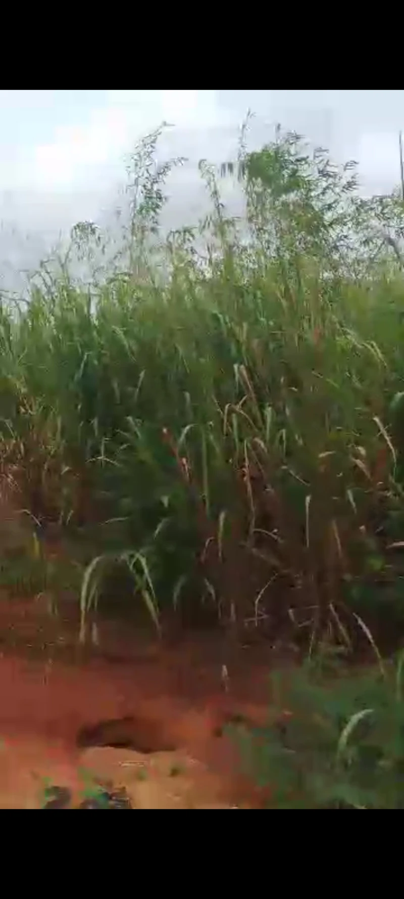 Land for Sale in Asaba, Delta - Image 3