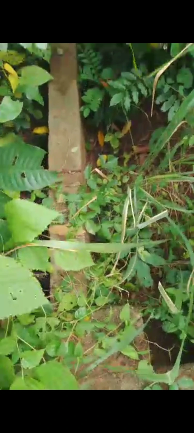 Land for Sale in Asaba, Delta - Image 1