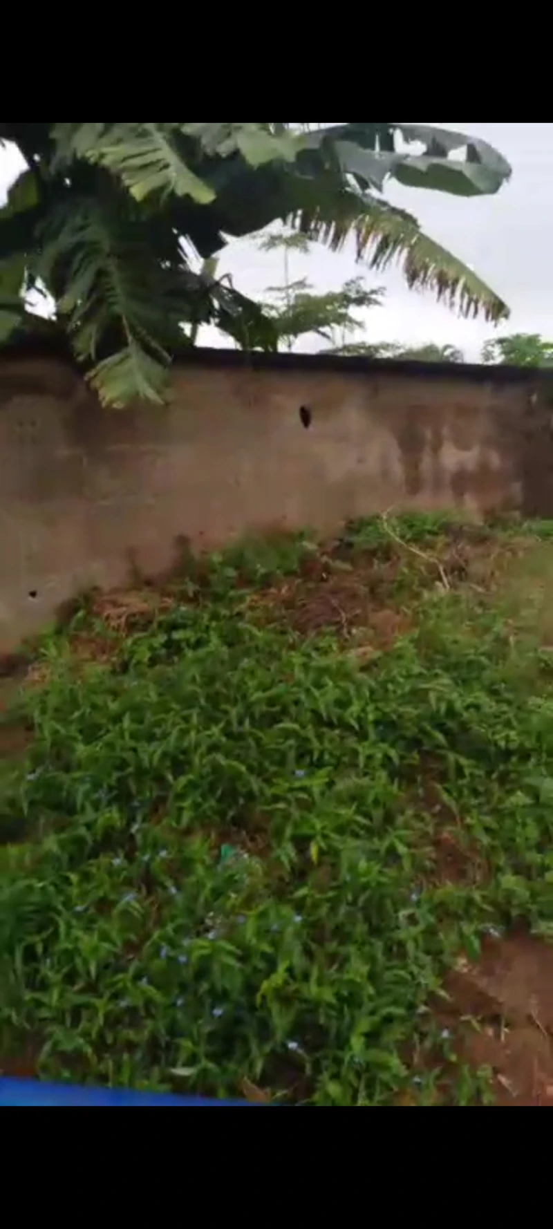 Land for Sale in Asaba, Delta - Image 1