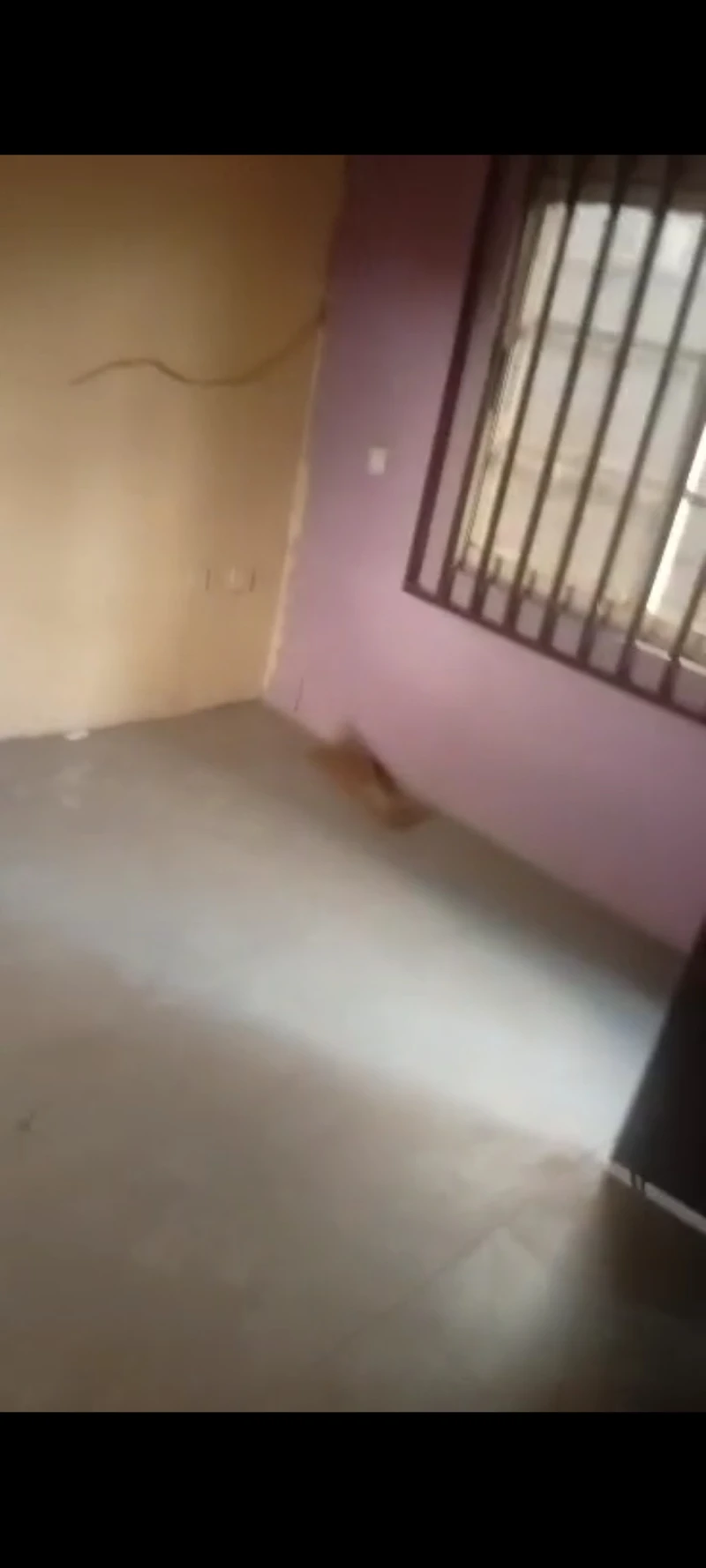 1 Bedroom Flat for Rent in Back of NTA, Delta - Image 1