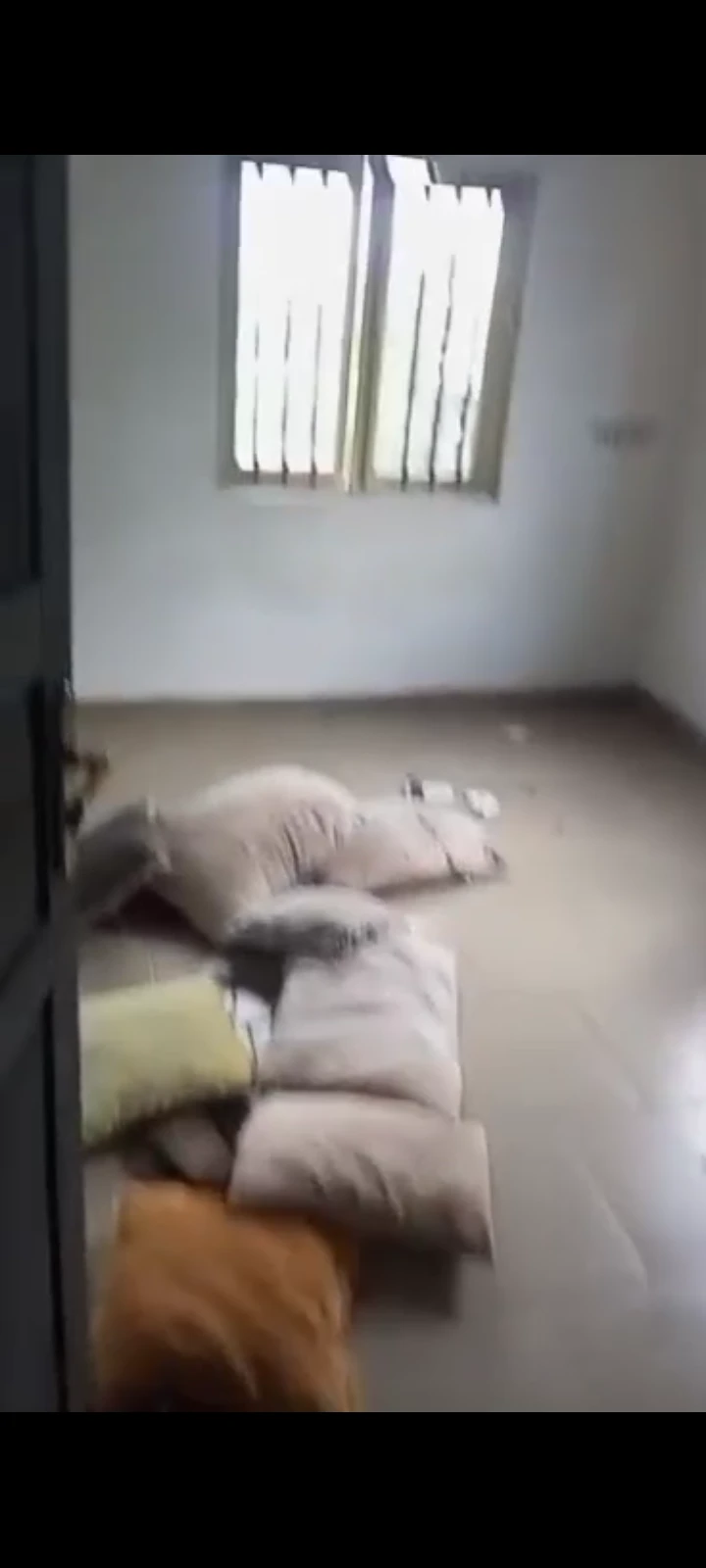1 Bedroom Flat for Rent in Nwawolo, Delta - Image 4
