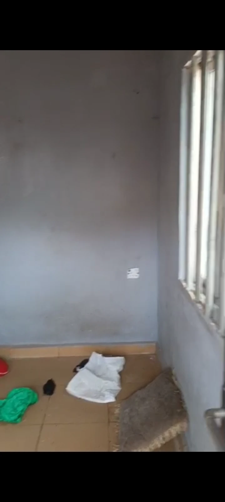 SelfContain for Rent in Okpanam road, Delta - Image 2