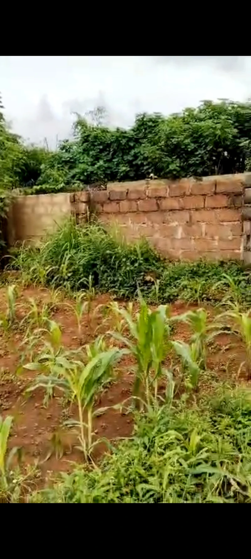 Land for Sale in Asaba, Delta - Image 1