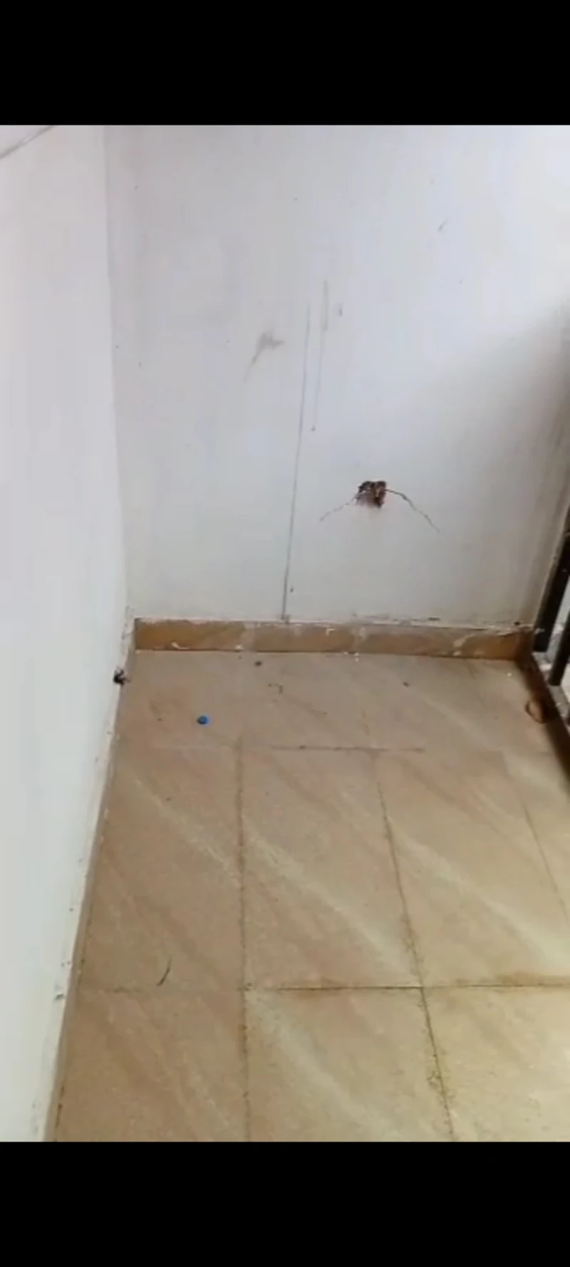 1 Bedroom Flat for Rent in DLA, Delta - Image 4