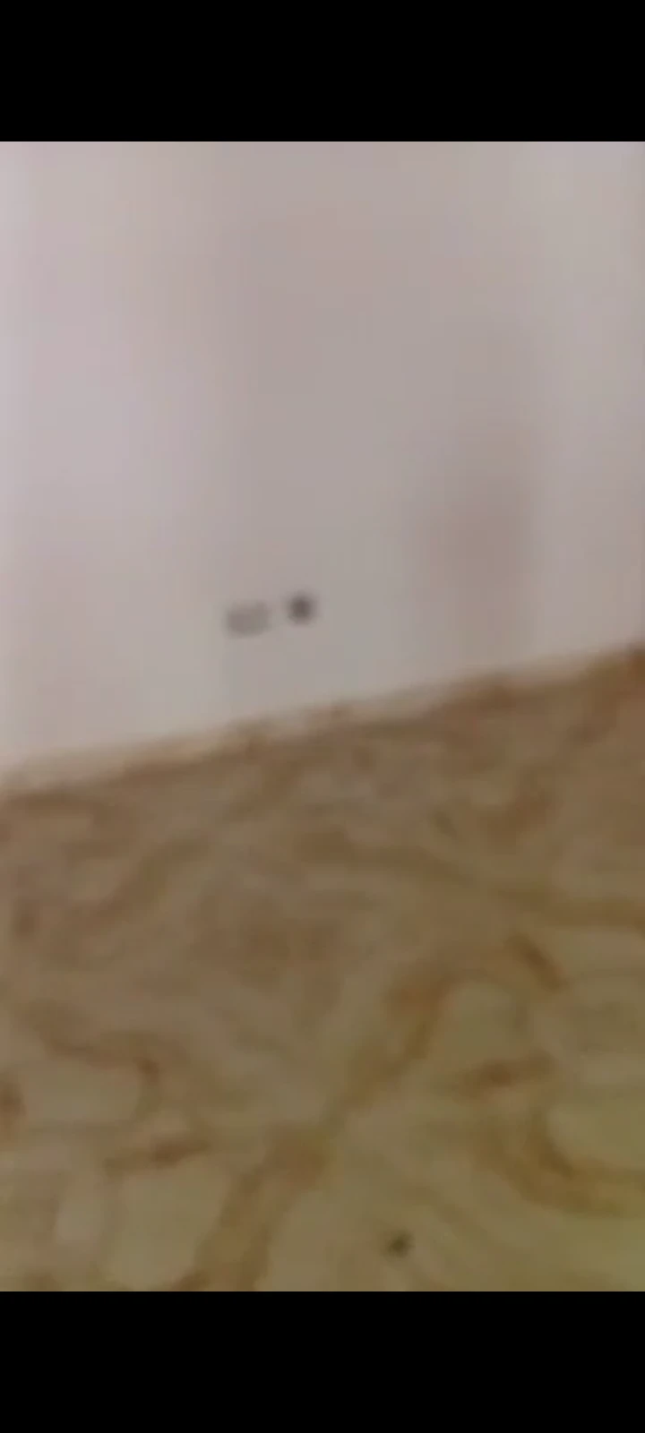 1 Bedroom Flat for Rent in DLA, Delta - Image 1