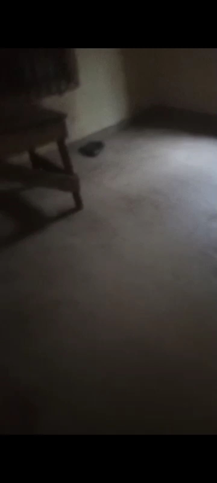 2 Bedroom Flat for Rent in Ezenei, Delta - Image 3