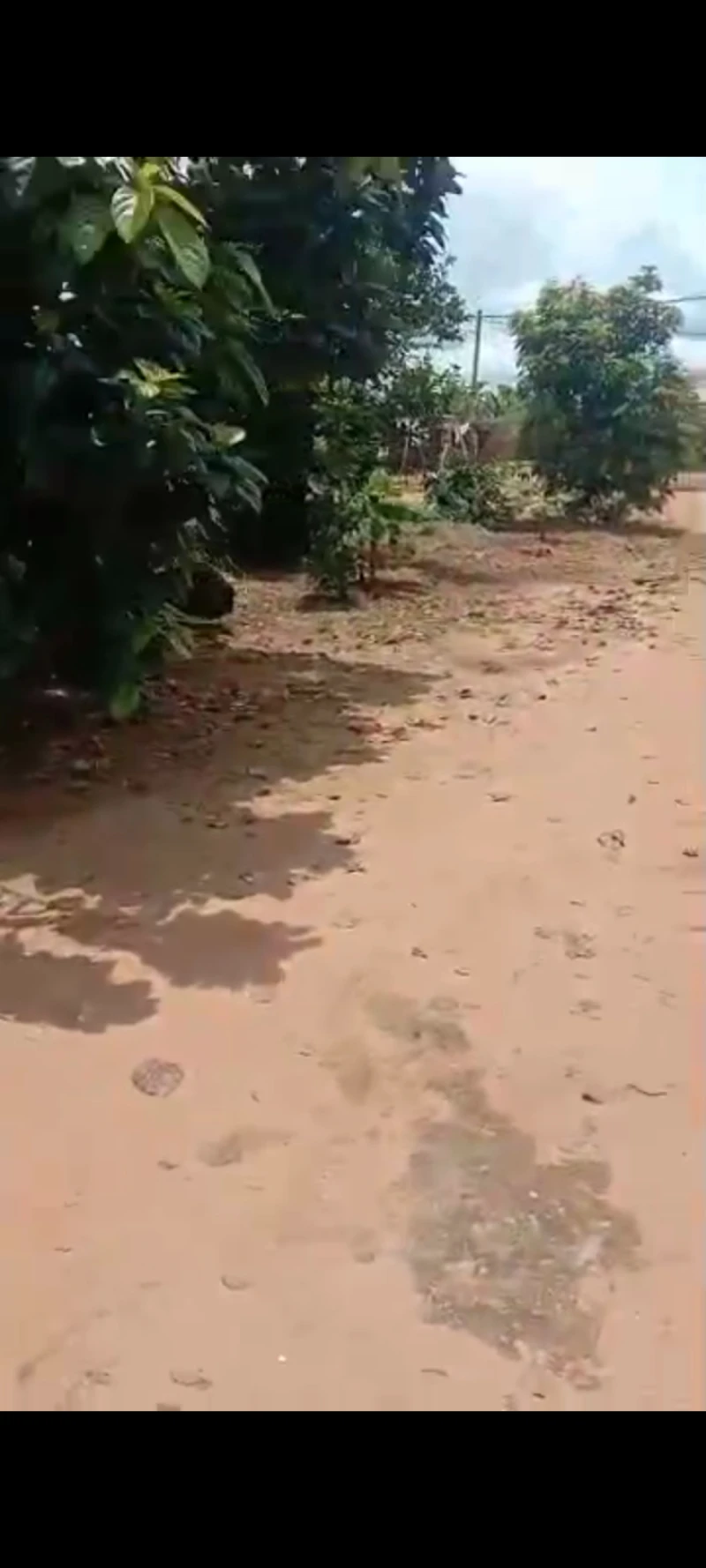Land for Sale in Asaba, Delta - Image 1
