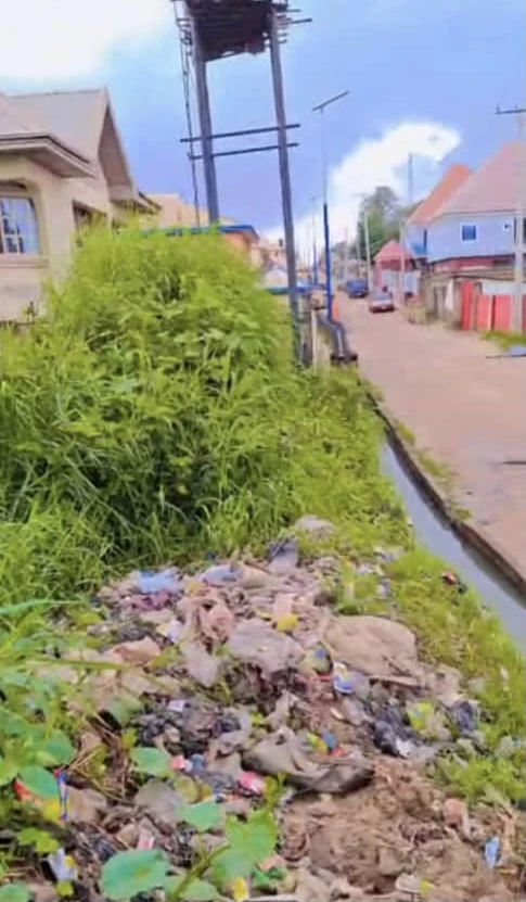 Land for Sale in Asaba, Delta - Image 2