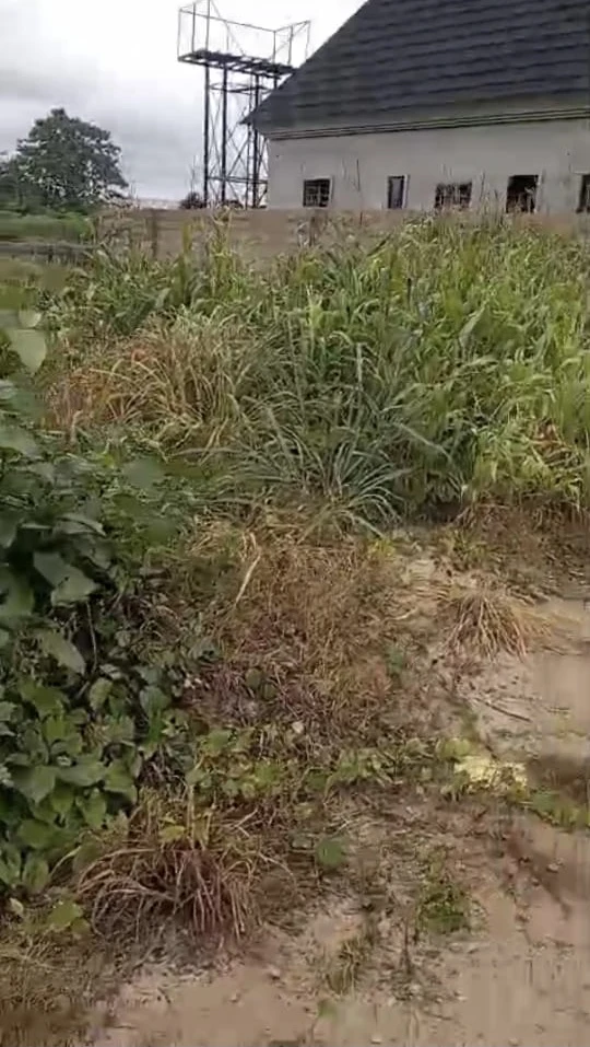 Land for Sale in Asaba, Delta - Image 1