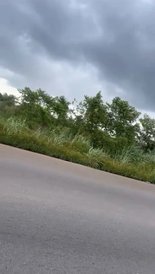 Land for Sale in Ogwashi uku, Delta - Image 1