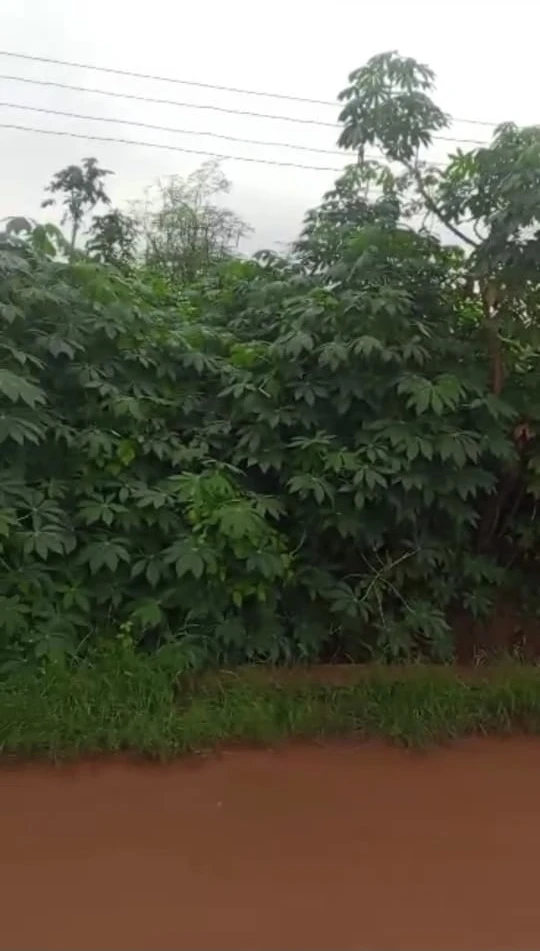 Land for Sale in Asaba, Delta - Image 1