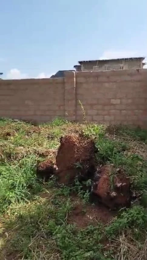 Land for Sale in Asaba, Delta - Image 1