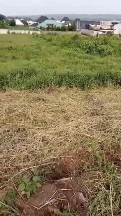 Land for Sale in Okpanam, Delta - Image 1