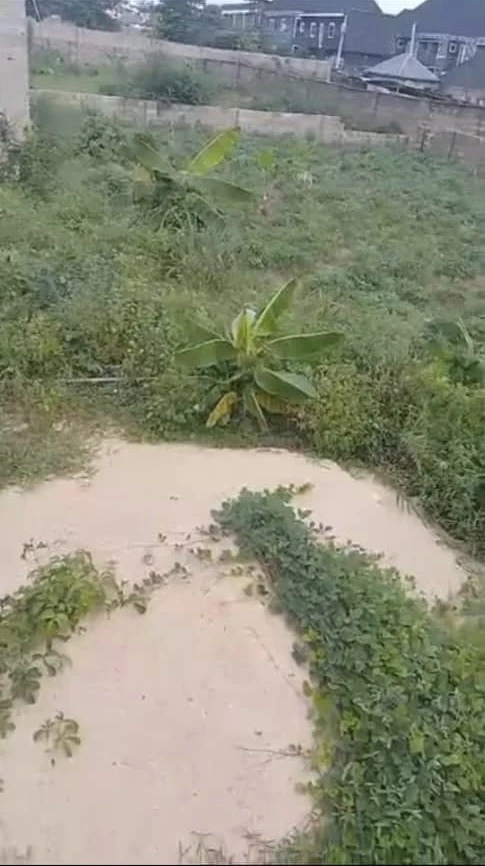 Land for Sale in Asaba, Delta - Image 1