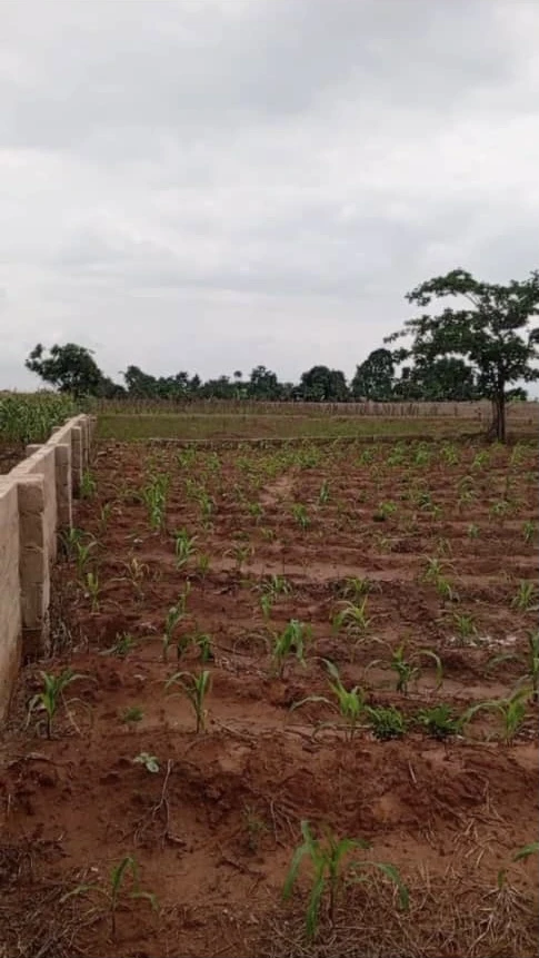 Land for Sale in Asaba, Delta - Image 1